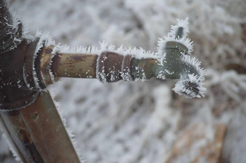 Winterization Process